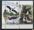 Biélorussie : série WWF cigogne noire MNH, Animal et Nature, Envoi, Non oblitéré
