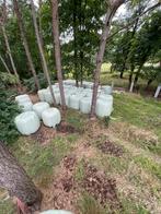 Hooi voordroog en mais in Bollen te koop, Zakelijke goederen, Ophalen