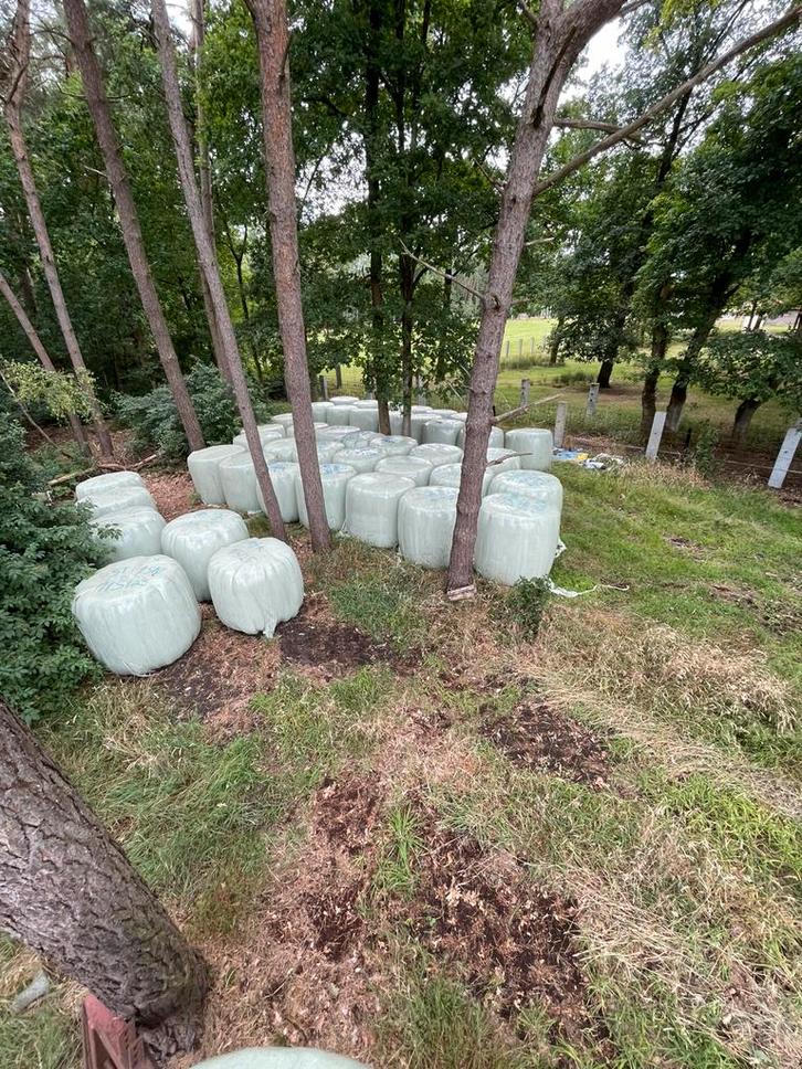 Hooi voordroog en mais in Bollen te koop, Zakelijke goederen, Landbouw | Veevoer, Ophalen