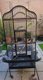Papegaaien kooi te koop, Dieren en Toebehoren, Ophalen, Gebruikt