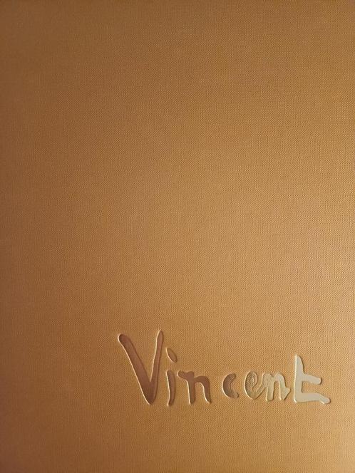 Kunstboek "Vincent"  345 blz, Boeken, Kunst en Cultuur | Beeldend, Zo goed als nieuw, Schilder- en Tekenkunst, Verzenden