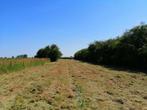Weiland te koop, Muylem