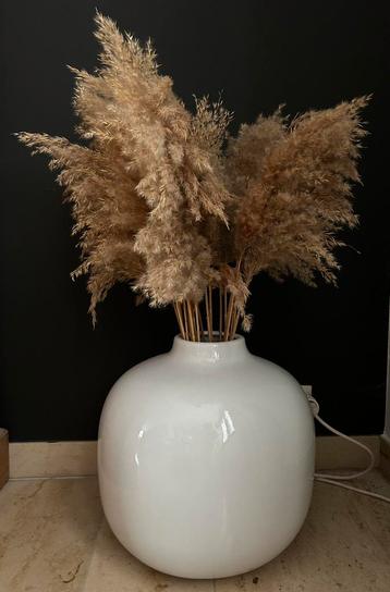 Heel mooie grote zware vaas met pampa’s beschikbaar voor biedingen