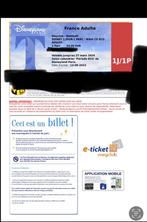 Billet DisneylandParis, Tickets & Billets, Loisirs | Parcs d'attractions, Ticket ou Carte d'accès, Une personne