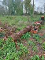 Gratis brandhout GERESERVEERD!!, Ophalen