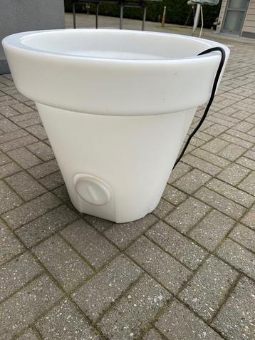 Merk Bloom - verlichte bloempot - 60 cm beschikbaar voor biedingen