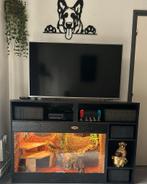 Osb3 terrarium RepHouSZ. Ook maatwerk, Dieren en Toebehoren, Reptielen en Amfibieën | Toebehoren, Ophalen, Nieuw, Terrarium of Paludarium