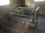 Kraamhokken zeugen varkens hok
