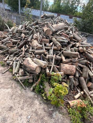 Bois de chauffage beschikbaar voor biedingen