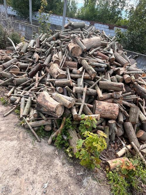 Bois de chauffage, Tuin en Terras, Brandhout, Blokken, Overige houtsoorten, 6 m³ of meer, Ophalen of Verzenden