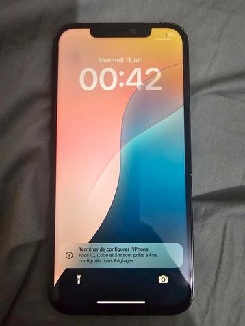 iPhone 12 Pro Max beschikbaar voor biedingen