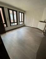 Instapklare gezellig  appartement op toplocatie te Mechelen, Mechelen