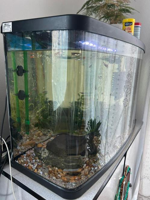 Mooi 75x30 Resun panorama aquarium met kast, Dieren en Toebehoren, Vissen | Aquaria en Toebehoren, Zo goed als nieuw, Ophalen