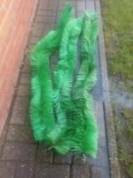 3 paai borstels prijs is voor de 3 samen, Dieren en Toebehoren, Vissen | Vijvervissen