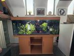 Aquarium 450l complet + accessoires, Ophalen, Zo goed als nieuw