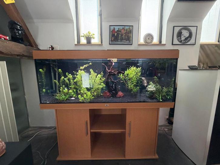 Aquarium 450l complet + accessoires, Dieren en Toebehoren, Vissen | Aquaria en Toebehoren, Zo goed als nieuw, Ophalen