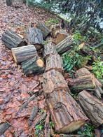 hout van 7 bomen Robina/Valse acacia, 3 tot 6 m³, Ophalen, Overige houtsoorten, Blokken