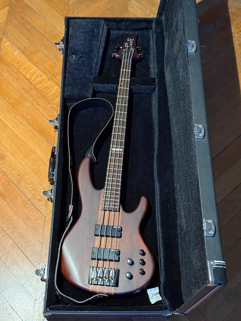 ESP LTD D4-NS 4-snarige actieve bas met koffer, Muziek en Instrumenten, Snaarinstrumenten | Gitaren | Bas, Ophalen of Verzenden