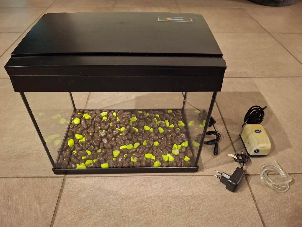 Aquarium, Enlèvement, Utilisé, Aquarium vide