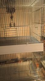 Cages élevage oiseaux, Enlèvement