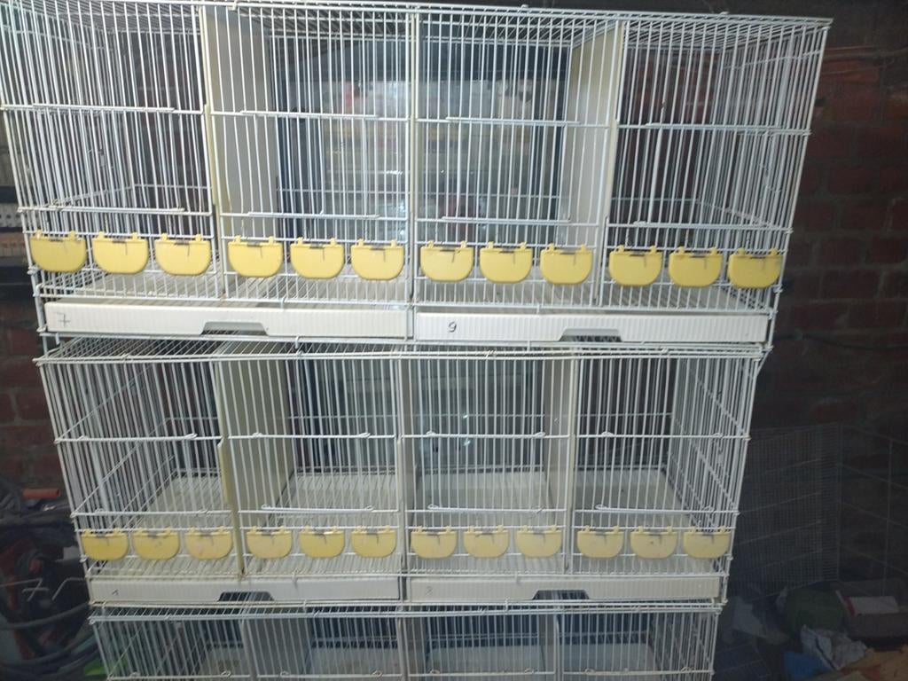 Cages métalliques, Animaux & Accessoires, Enlèvement