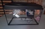 Aquarium 60l, Animaux & Accessoires, Enlèvement