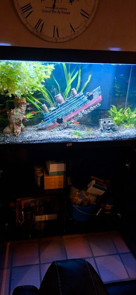 Aquarium Aqualantis met kast, Animaux & Accessoires, Poissons | Aquariums & Accessoires, Enlèvement