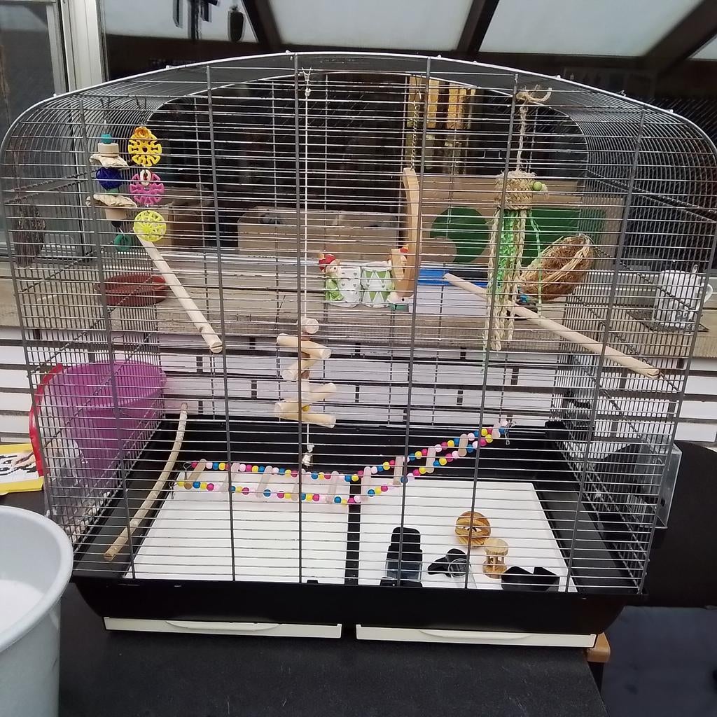 Grote vogelkooi met accessoires, Ophalen, Vogelkooi