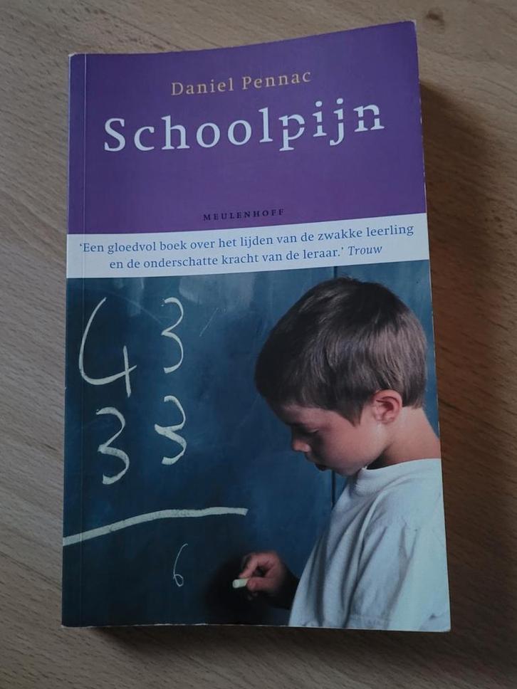 Daniel Pennac - Schoolpijn, Boeken, Literatuur, Ophalen of Verzenden