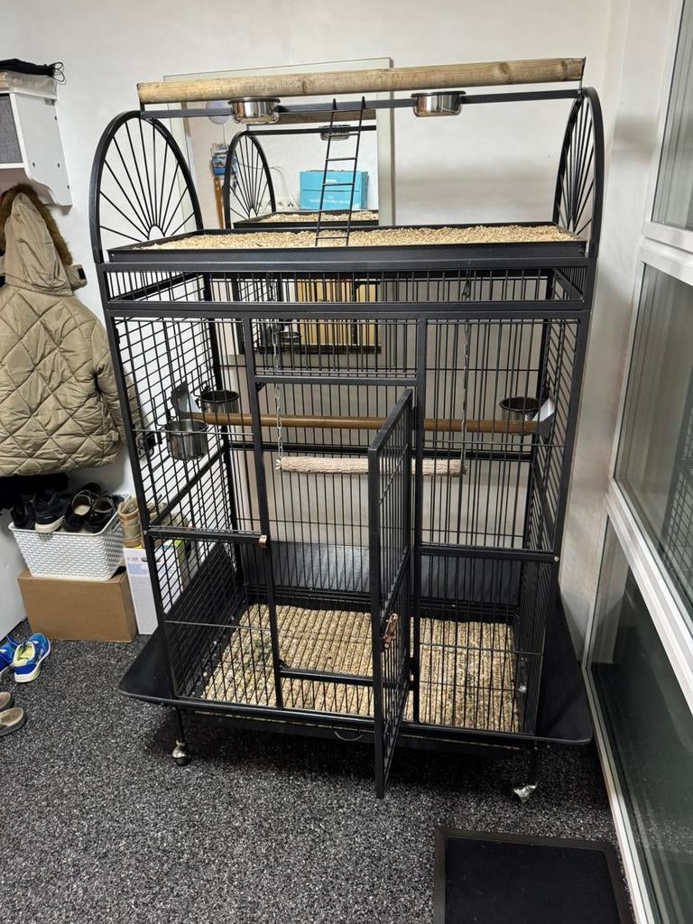 Papegaai kooi, Enlèvement, Comme neuf