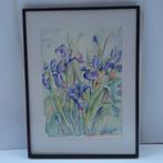 Origineel aquarel "Blauwe Irissen".
Ingelijst., Antiek en Kunst, Ophalen of Verzenden