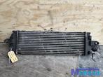 RENAULT TRAFIC VIVARO PRIMASTER 2.0 Intercooler 2006-2014, Gebruikt, Opel Automobile GmbH, Kontakt@opel-infoservice.de, Opel