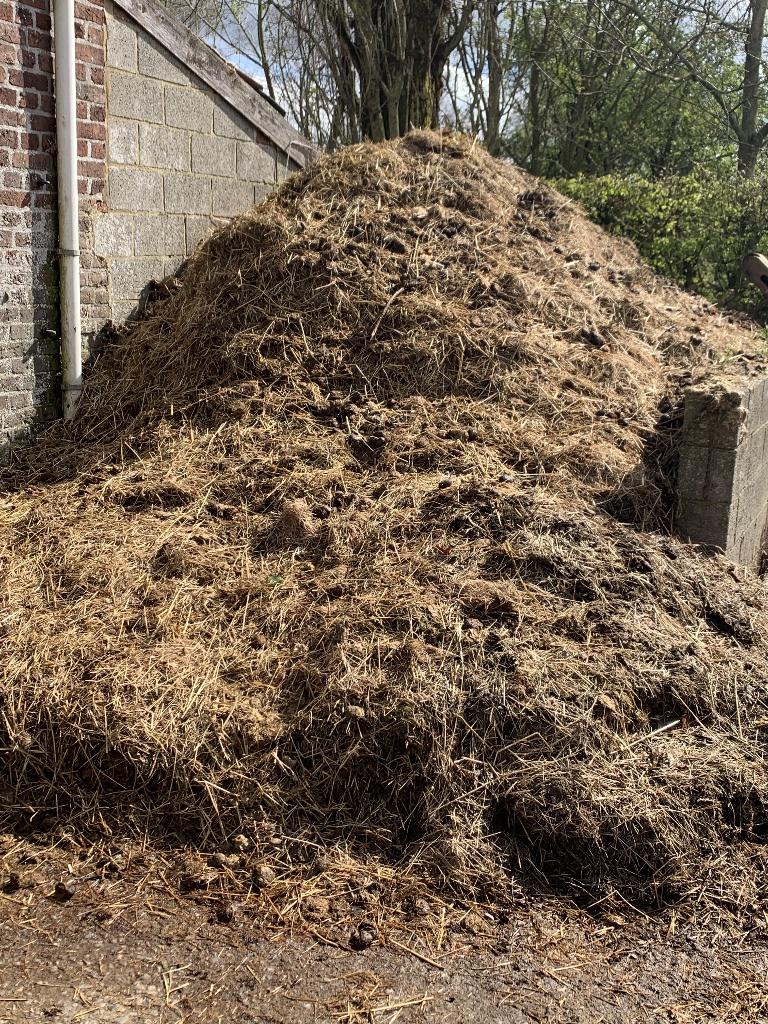 Fumier de chevaux a donner, Enlèvement, Fumier