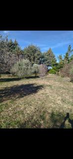 Terrain constructible 1000m2 dans le sud de la france, Animaux & Accessoires