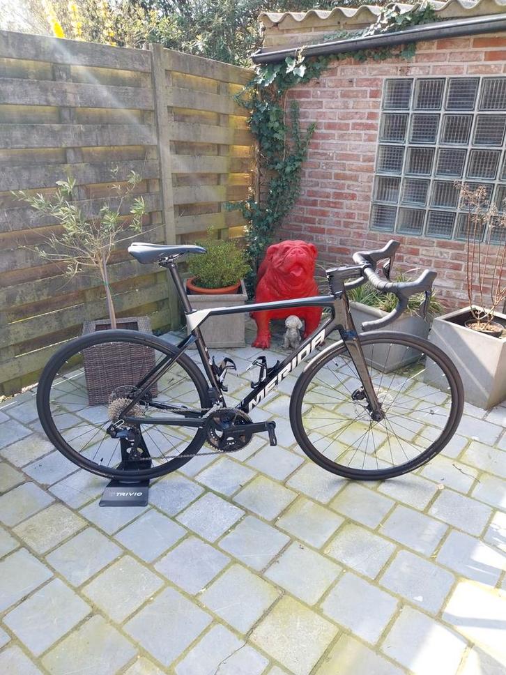 Merida Scultura 6000 Nouveau, Vélos & Vélomoteurs, Vélos | Vélos de course, Neuf, Hommes, Autres marques, Plus de 20 vitesses