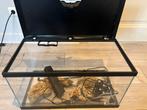 Aquarium 58L compleet, Dieren en Toebehoren, Ophalen, Zo goed als nieuw, Leeg aquarium