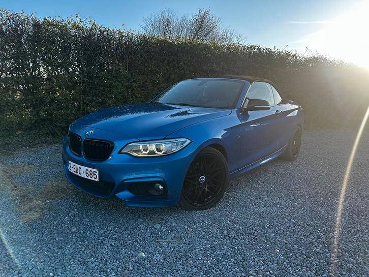 Bmw serie 2, Autos, BMW, Particulier, Sièges chauffants, Diesel, Cabriolet, Automatique, Noir, Noir, Alcantara, Enlèvement