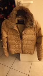 Winterjas, Kleding | Dames, Ophalen, Maat 34 (XS) of kleiner