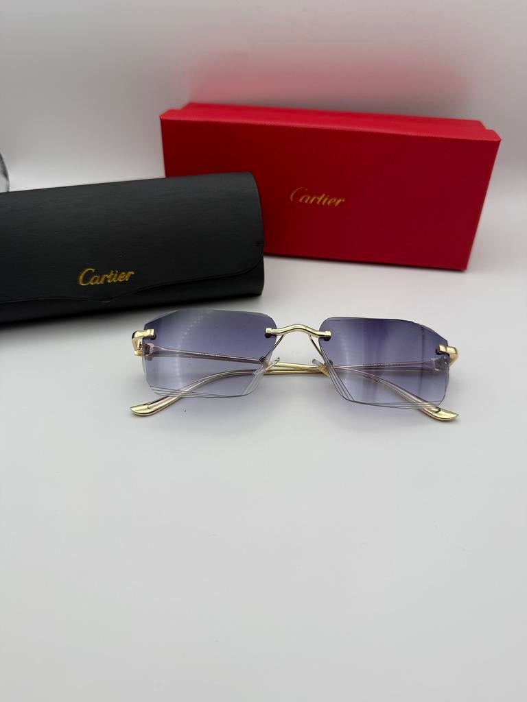 Cartier zonnebril heren met verpakking, Ophalen of Verzenden, Nieuw, Zonnebril