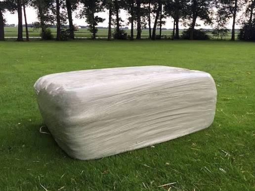 Gezocht voordroog, Enlèvement