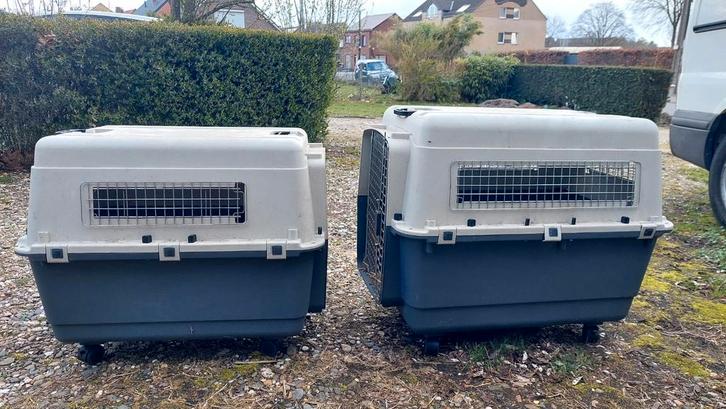 Hondenbench, Dieren en Toebehoren, Transportboxen, Ophalen