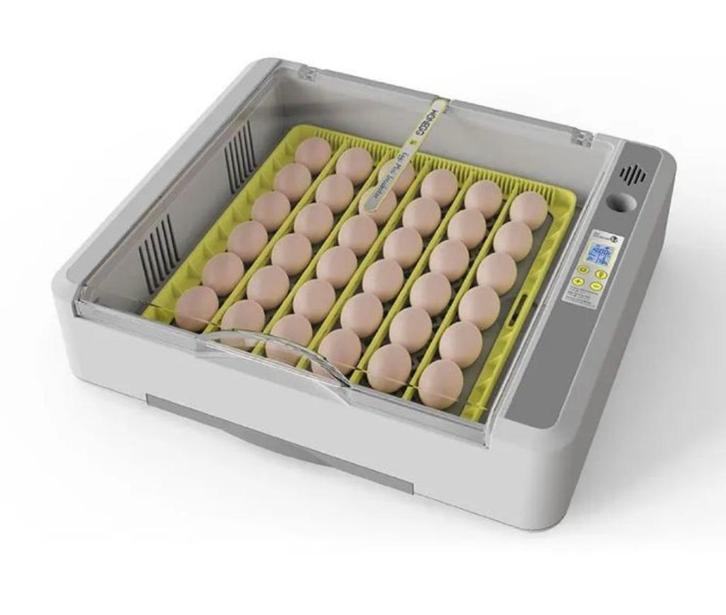Broedmachine 36 ei + gratis broedeieren - Nieuw, Dieren en Toebehoren, Pluimvee | Toebehoren, Nieuw, Broedmachine, Ophalen of Verzenden