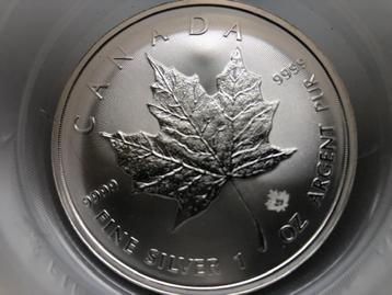 2021 Canada - Maple leaf - 25 x 1 oz silver TUBE beschikbaar voor biedingen