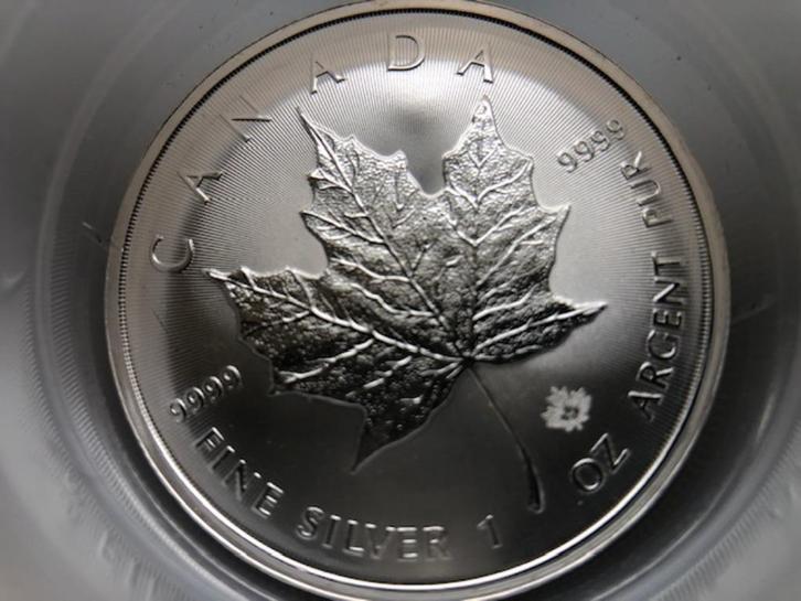 2021 Canada - Maple leaf - 25 x 1 oz silver TUBE, Postzegels en Munten, Edelmetalen en Baren, Zilver, Ophalen of Verzenden