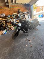 Harley Davidson night rod, Motoren, Motoren | Harley-Davidson, ABS, Motorrijbewijs A, Particulier, Meer dan 35 kW