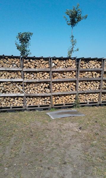Brandhout eik en beuk droog  beschikbaar voor biedingen