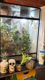 Terrarium met producten en inhoud !, Ophalen, Gebruikt, Terrarium of Paludarium