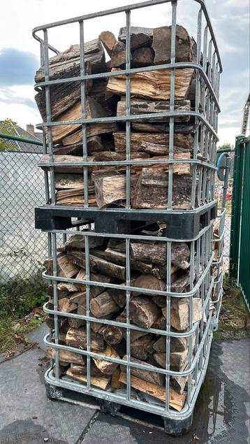 Droog brandhout gemengd uit opkuis bos disponible aux enchères