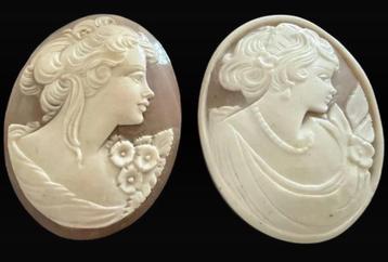 Camee Cameo Sieraad Broche Amulet Hanger Schelp beschikbaar voor biedingen