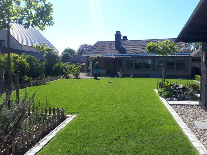 Tuinman, tuinonderhoud, klusjes, Diensten en Vakmensen, Tuinmannen en Stratenmakers, Tuin- of Vijveraanleg, Tuinonderhoud of Snoeiwerk